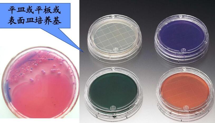 庆大霉素(100IU)和亚碲酸钾(1mg)混合液