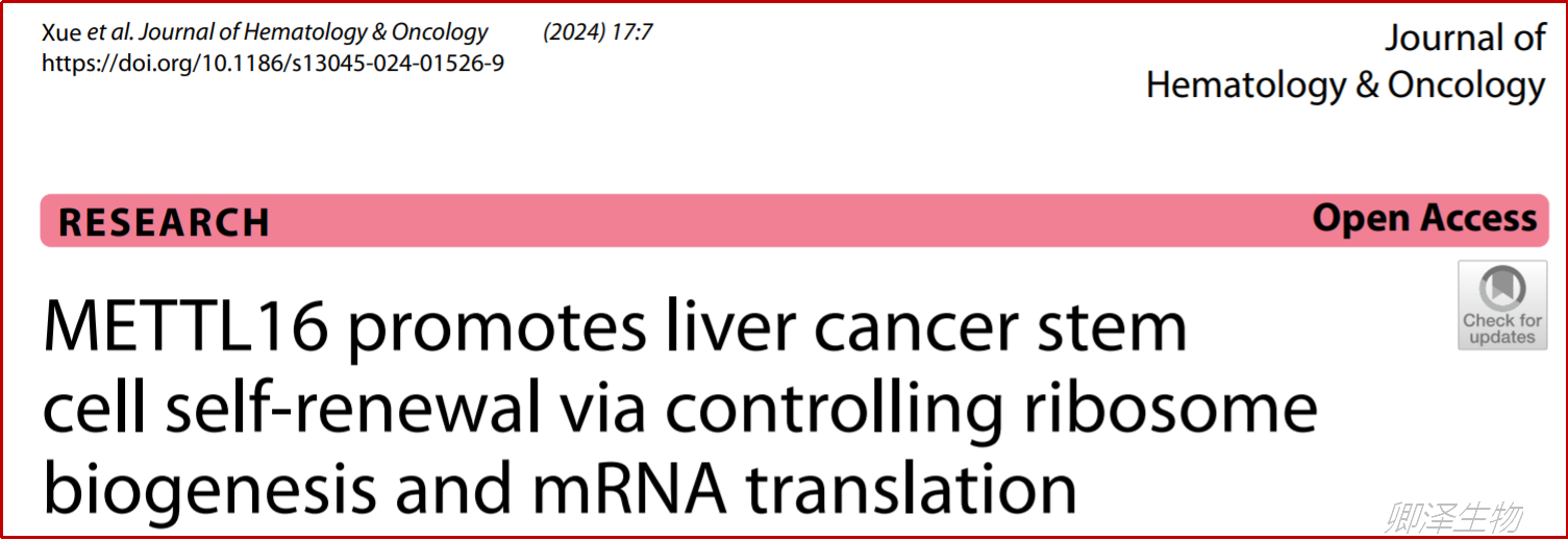 J Hematol Oncol. | Polysome profiling和Ribo-seq助力挖掘肝癌中的METTL16的功能及机制