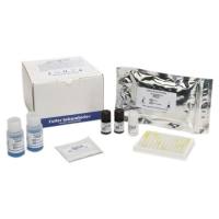 斑点热群立克次体IgG检测试剂盒