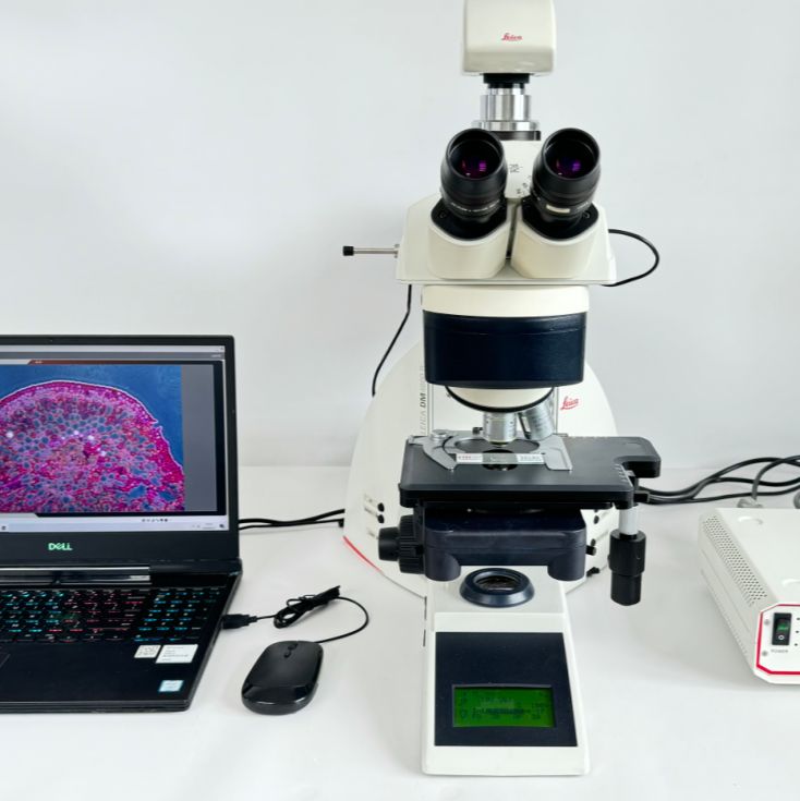 二手徕卡Leica DM4000B三色荧光显微镜一年质保