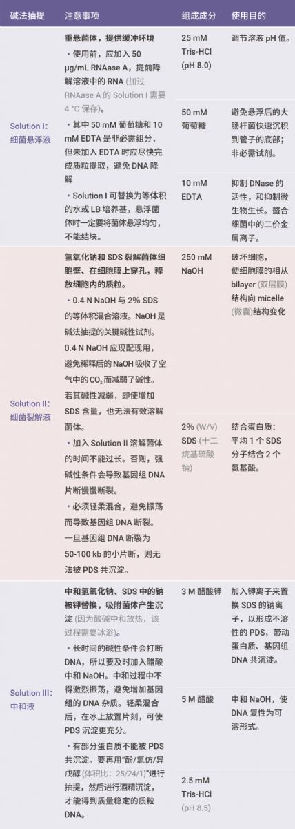 实验操作 | 质粒构建、转化、提取、鉴定、转染、测定(完整版)| MedChemExpress (MCE)