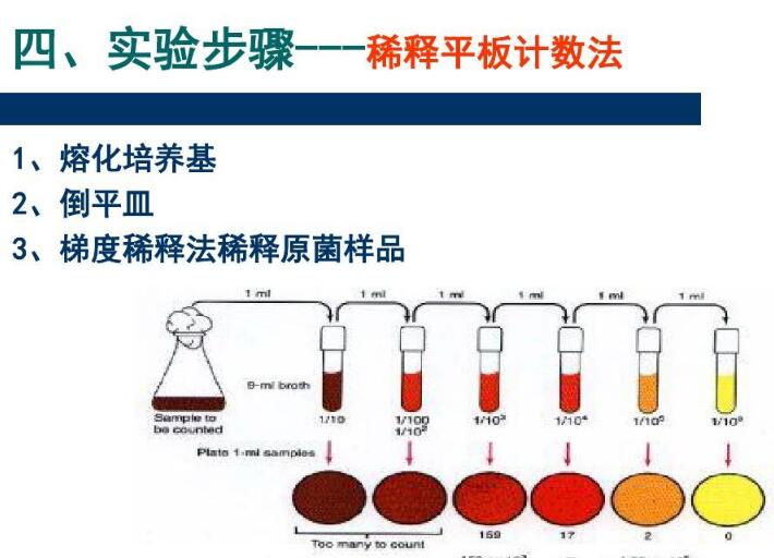 庆大霉素(100IU)和亚碲酸钾(1mg)混合液