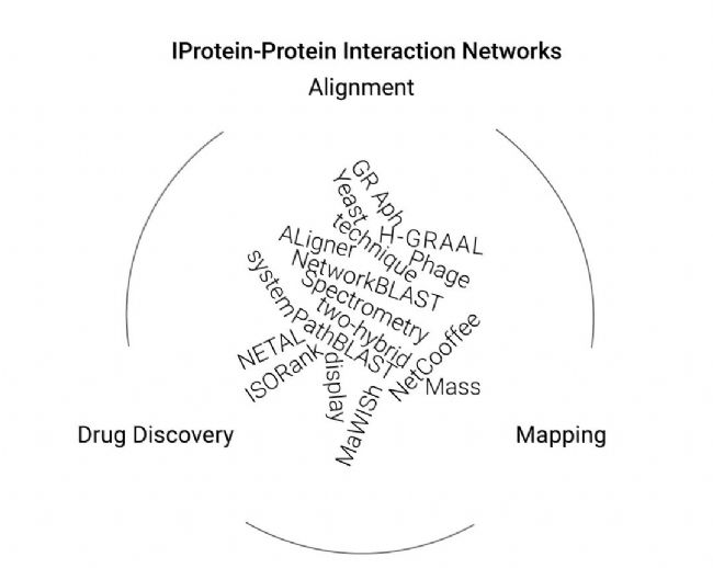 科研助攻 | 一文讲清:如何破解 PPI 靶点成药难题 | MedChemExpress (MCE)