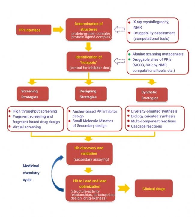 科研助攻 | 一文讲清:如何破解 PPI 靶点成药难题 | MedChemExpress (MCE)