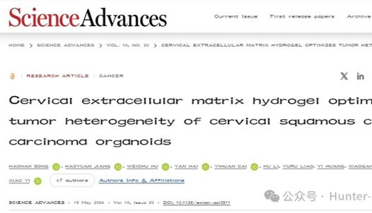 研究进展丨Sci Adv：新型宫颈癌类器官模型，助力宫颈癌研究！