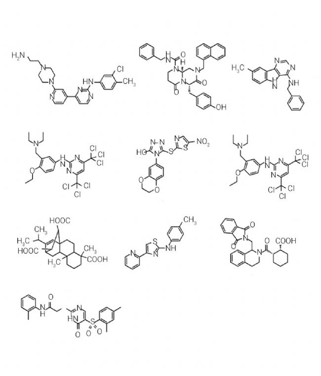科研助攻 | 一文讲清:如何破解 PPI 靶点成药难题 | MedChemExpress (MCE)