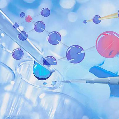 Malme-3M 人皮肤恶性黑色素瘤细胞