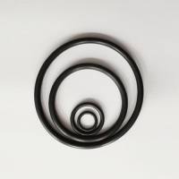 O型圈，内径×圈粗度: 5.23×2.62mm;包装: 2个，芯硅谷