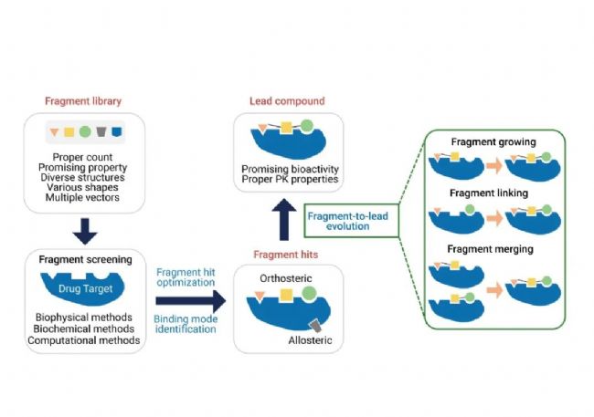 科研助攻 | 一文讲清:如何破解 PPI 靶点成药难题 | MedChemExpress (MCE)