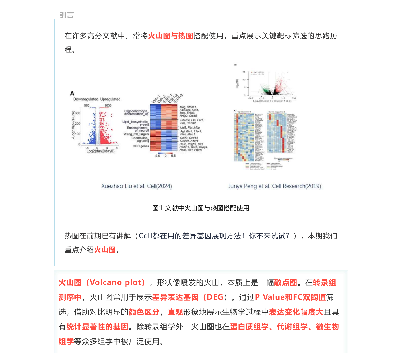 导师：跟着Cell学分析图表搭配（火山图+热图）