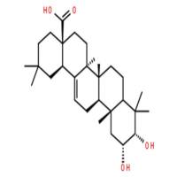 2,3-二羟基-12-齐墩果烯-28-酸