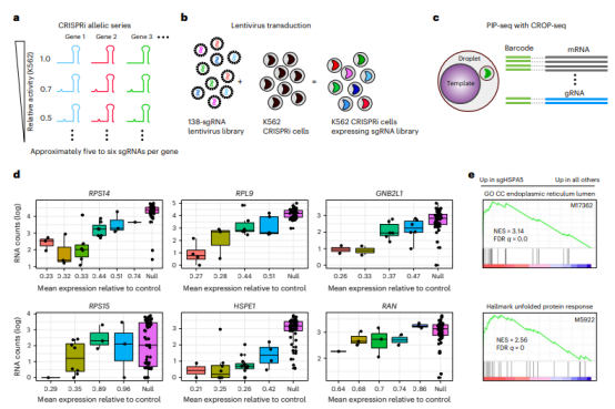 新技术分享：PIP-seq，无需配套仪器的单细胞实验！