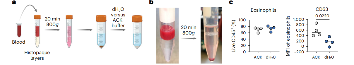 【Nature Protocols文献分享】嗜酸性粒细胞单细胞测序研究解决方案