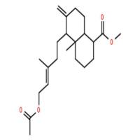 乙酰基异柏烯酸