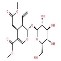 二氧马钱苷甲酯