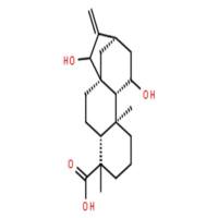 11,15-二羟基-16-贝壳杉烯-19-酸