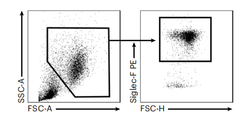 【Nature Protocols文献分享】嗜酸性粒细胞单细胞测序研究解决方案