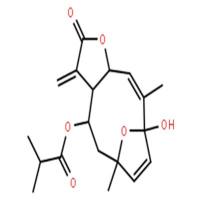 圆叶肿柄菊素 F