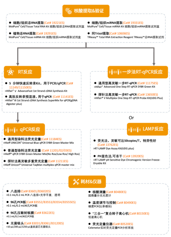 qPCR数据处理秘籍：干货满满，看完还想再来一篇！
