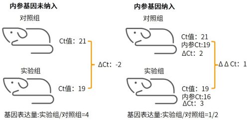 qPCR数据处理秘籍：干货满满，看完还想再来一篇！