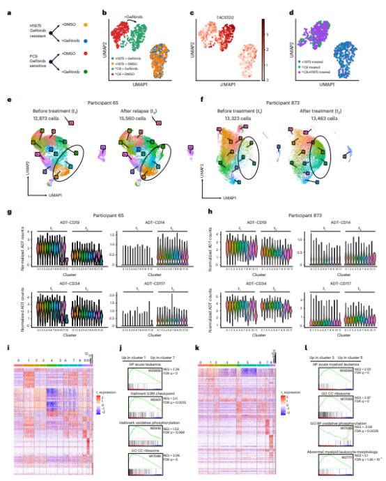 新技术分享：PIP-seq，无需配套仪器的单细胞实验！