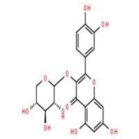 槲皮素-3-D-木糖甙