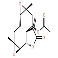 环氧表美国鹅掌楸内酯