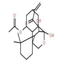 长管贝壳杉素 E