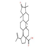 1-脱羧-3-氧代茶酸
