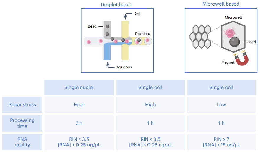 【Nature Protocols文献分享】嗜酸性粒细胞单细胞测序研究解决方案