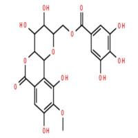 11-O-没食子酰岩白菜素