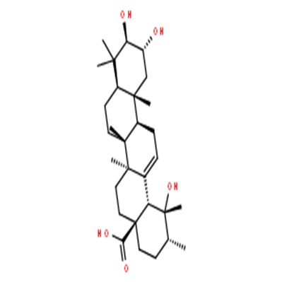 委陵菜酸,2Α,19Α-二羟基熊果酸