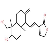 14-去氧-11,12-二去氢穿心莲内酯