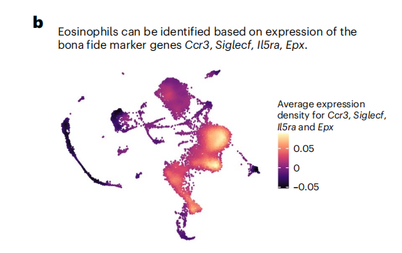 【Nature Protocols文献分享】嗜酸性粒细胞单细胞测序研究解决方案