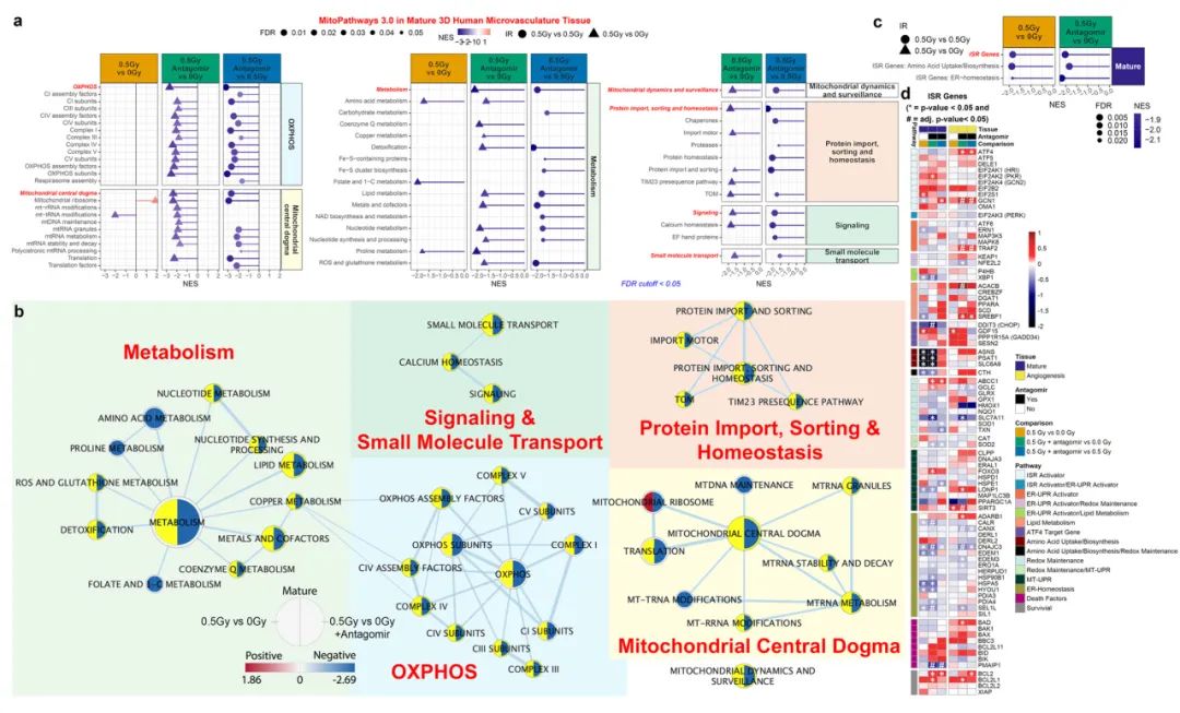 miRNA研究进展盘点丨20240621期