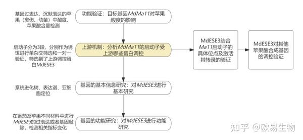 项目文章 | 西北农林科技大学李明军/马百全研究团队发现苹果酸度调控机制