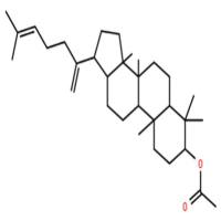 达玛二烯醇乙酸酯