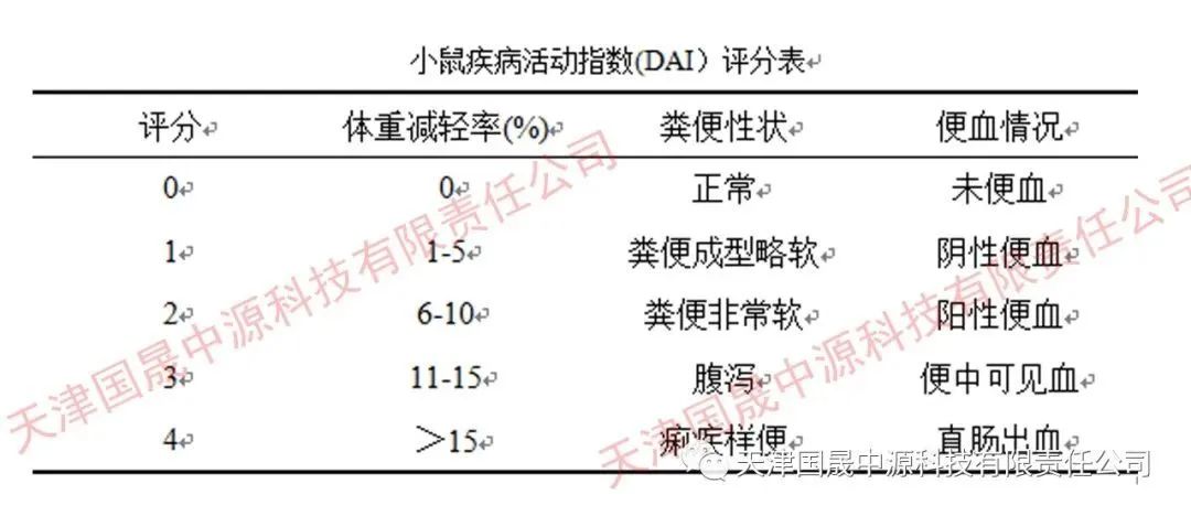 动物造模丨DSS急性溃疡性结肠炎模型