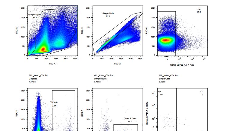 免疫细胞培养攻略之样本制备（一）