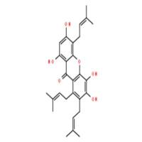 异藤黄氧蒽酮 E