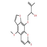 新比克白芷内酯