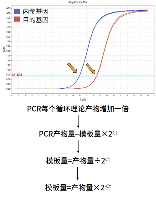 qPCR数据处理秘籍：干货满满，看完还想再来一篇！