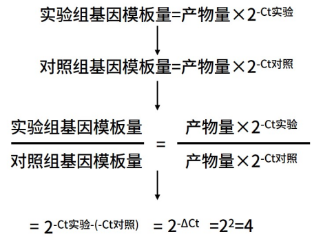 qPCR数据处理秘籍：干货满满，看完还想再来一篇！