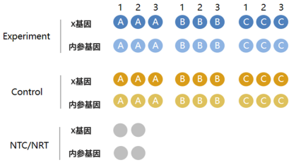 qPCR数据处理秘籍：干货满满，看完还想再来一篇！