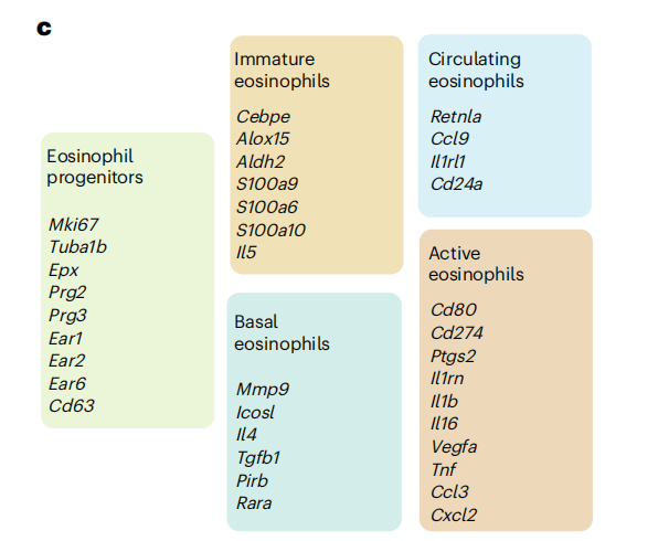 【Nature Protocols文献分享】嗜酸性粒细胞单细胞测序研究解决方案