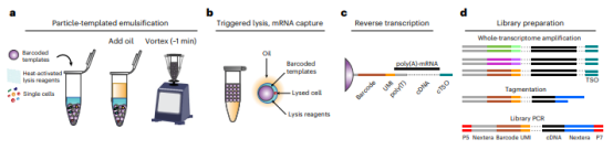 新技术分享：PIP-seq，无需配套仪器的单细胞实验！
