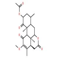 黄苦木素B乙酸酯