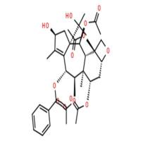 云南红豆杉酯甲