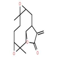 11(13)-去氢腋生依瓦菊素