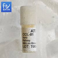 VERO细胞 非洲绿猴肾细胞CCL-81 ATCC原装进口